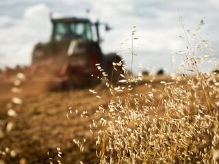 Január elsejétől még több támogatást kapnak a kisebb agrárgazdaságok