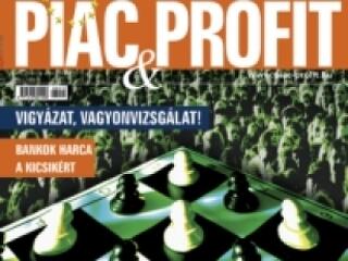 Vigyázat, vagyonvizsgálat!