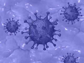 Koronavírus: újabb 48 halott