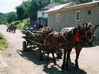 Adómentesség mindenkinek!
