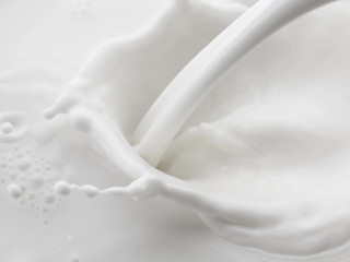 Padlóra került a magyar tej