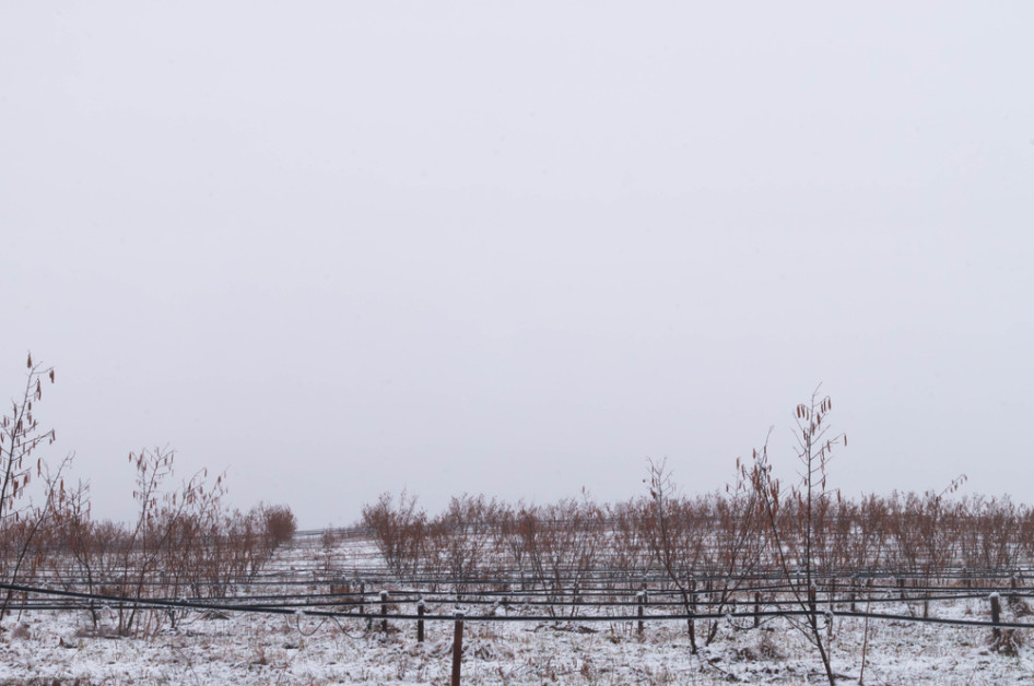 Kedvező volt a január a mezőgazdaságnak