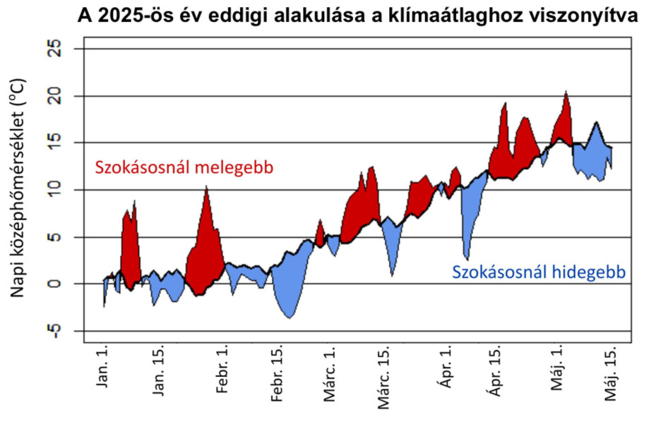 Forrás: masfelfok.hu