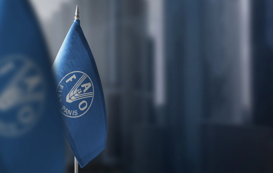 Csökkent a FAO élelmiszerár-indexe 