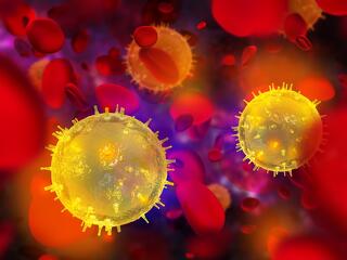 733-ra nőtt a koronavírus-fertőzöttek száma Magyarországon