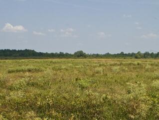 Süllyed az Alföld, de senki nem tud róla...