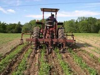 Elfogadták a 600 milliárdos programot