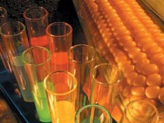 Nincs döntés a génmódosított növényekről