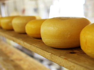 Élelmiszer magánimport indult nyugatról, a sláger az ott jóval olcsóbb sajt