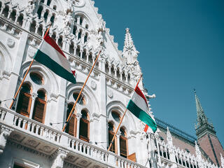 Nekimennek a műhúsnak a parlamentben 