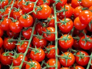 Ne fogyassza el! Üveget találtak egy Olaszországból származó paradicsomszószban