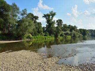 Biológiai eljárással javítják a Duna-holtág vízminőségét
