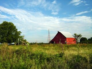 Egyszerűbb támogatás kis gazdáknak