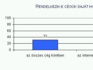 Hazai vállalatok az interneten