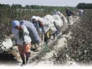 Csatorna Szibéria és Közép-Ázsia között