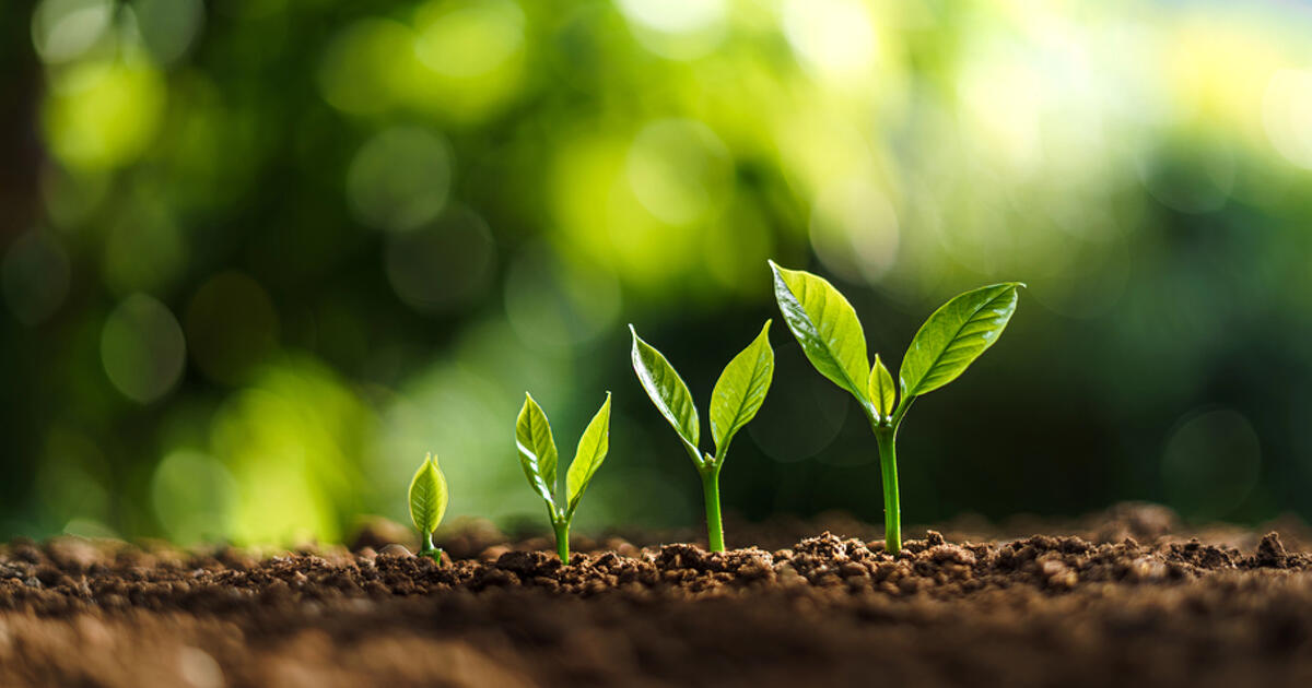 A siker 5 pillére: így építenek stabil céget a legokosabb vállalkozók