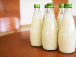 Az olcsó ukrán gabona után, most a potom árú uniós tej fenyegeti a magyar gazdákat