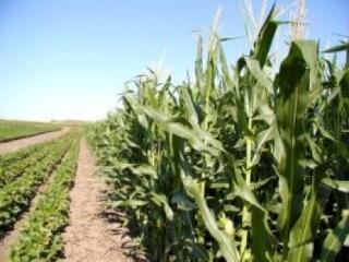 "Van egy ajánlatunk az államnak!"