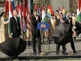 Félreértett ítélet a szabad tojásdobálás