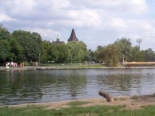 Polgármester a pofátlan autósok ellen