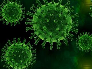 Koronavírus: ismét több mint 10 ezer új fertőzöttet találtak