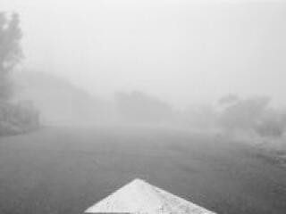 Budapesti dugók idén