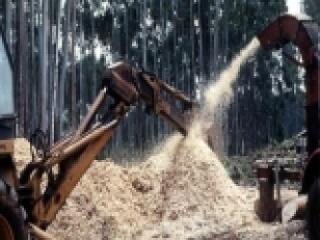 34 milliárdos biomassza erőmű épül