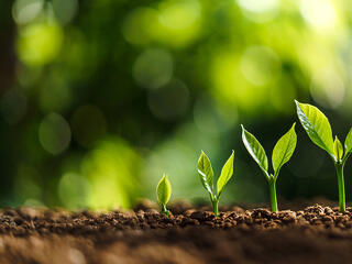 Új korszak indul a lakossági befektetéseknél