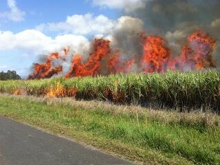 Újra lehet pályázni mezőgazdasági biztosítás támogatására