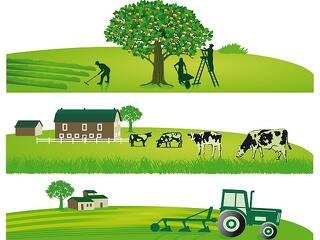 Milyen hitelt keresnek az agrárcégek?