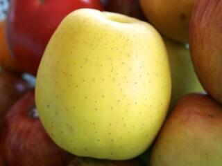 Tíz forint miatt vontak blokádot