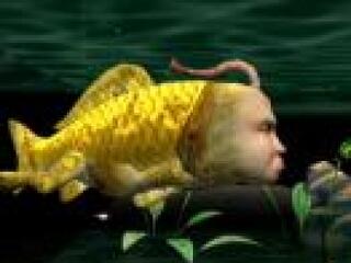 Adóminimalizáló befektetés, nagy hozamígérettel