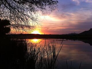 Olajbányászat indul az öko-paradicsomban