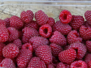 A műanyag elviteles dobozok előnyei a hétköznapi rohanásban