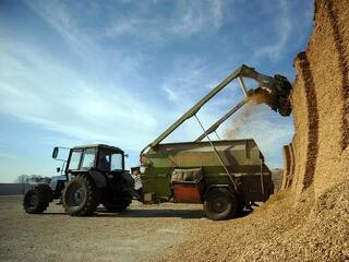 Szuper gabonatermés várható, esnek az árak