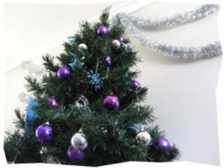 Hová vigyük a karácsonyfát?