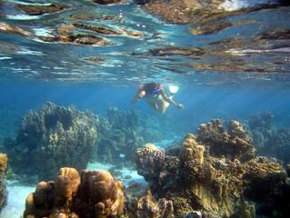 Földi paradicsomok: százmilliárdokat érnek a korallszigetek