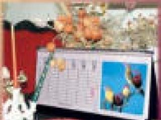 Januári adónaptár