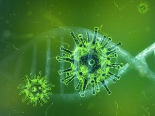 Koronavírus: ma elérhetjük a 3 millió beoltottat