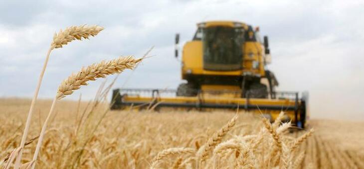 Erősen csökken az ukrán gabonaexport (Fotó: FAO)