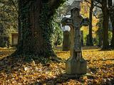 A temetőkben is emelkednek az árak