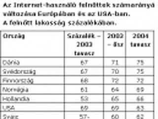 Internet-használók Európában és az USA-ban