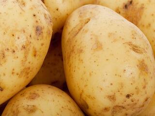Közel 60 százalékkal magasabb a krumpli felvásárlási ára, mint tavaly