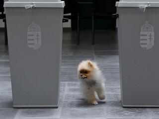 Édeskevés lenne a DK visszalépése a Tisza Pártnak 