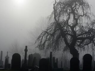 Gazdasági visszaélések miatt menesztettek fővárosi temetővezetőket