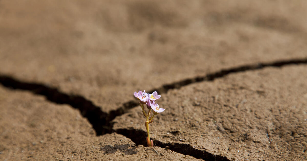 Óriási árat fizethetnek a cégek a klímaváltozásért
