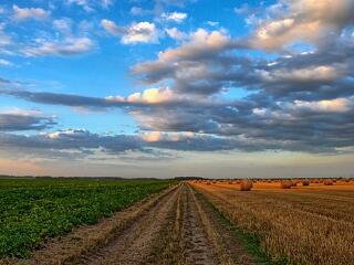 Magyarország 2028: mi vár a mezőgazdaságra?