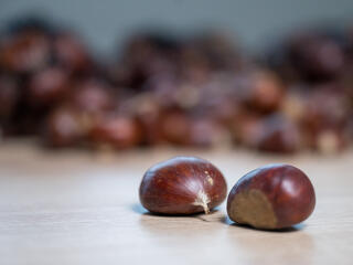 Csoda történt, sikerült újraindítani a magyar gesztenyefeldolgozót, miután porig égett az üzem