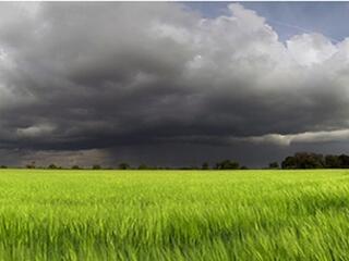 Gabonaválságba rohanunk!