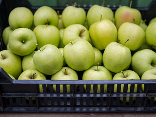 Nyugodtan ehetjük a magyar almát?